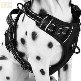 Pet Factory wholesale Amazon Ebay Wish hot large mesh dog harness 109-0001 chinagmt.com