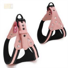 GMTPET Pet factory wholesale Pet dog car harness for girls 109-0007 chinagmt.com