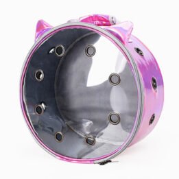 Pet Travel Bag for Cat Cage Carrier Breathable Transparent Window Box Capsule Dog Travel Backpack chinagmt.com
