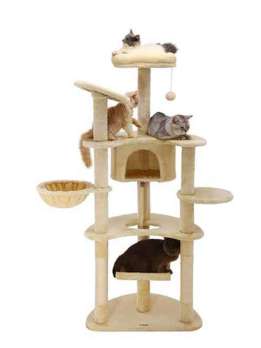 cat trees scratcher, bog cat tree, cat tower tree dropshipping, mushroom cat tree, purple cat tree, cat trees and scratching post, cat tree house, cat climbing tree house tower, minimalistic cat tree, cheese cat trees, cat tree tower large, cat christmas tree, cat-tree-dropshipping, cat tree for indoor cats, cat tree custom, wall-mounted cat tree, cat tree real wood, tree for big cats, wholesale cat trees, cat tree dropshipping, high quality cat tree, plastic cat tree, tree for cats 140cm, cat tree forest, custom cat tree tall, rope for cat tree, fabric for cat tree, rattan cat tree, luxury cat tree massive, simple cat tree, cat tree modern, cat tree cute, mau cat tree, cat tree wall, cat tree castle, large cat tree tower, high cat tree, 54 cat tree, cherry blossoms cat tree, cat tree 1 pieces, magic forest cat tree, cat tree house free shipping, modern wooden luxury cat tower tree, wooden cat furniture tree cat, basket cat tree, indoor stimulation tree for cats, luxury pet wooden cat tree, cute cat tree, cat tree with leaves, bookcase cat tree, real wood cat tree, pink cat tree, cat wooden tree, small cat trees, palm cat tree, luxury cat tree house, large cat tree house, cactus cat tree, lidl cat trees, cat tree parts, cat tree xl, cat wood tree, tree cat scratcher, flower cat tree, cat tree,